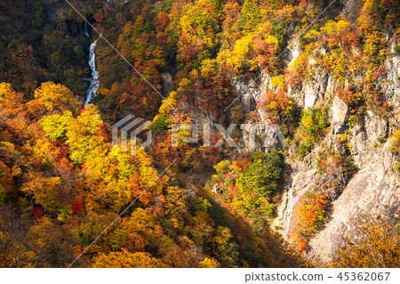 << Tochigi Prefecture >> The autumn leaves of Oku-Nikko and Ake-chihei << Tochigi Prefecture >> The autumn leaves of Oku-Nikko and Ake-chihei 45362067