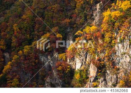 << Tochigi Prefecture >> The autumn leaves of Oku-Nikko and Ake-chihei << Tochigi Prefecture >> The autumn leaves of Oku-Nikko and Ake-chihei 45362068