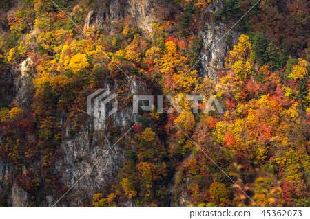 << Tochigi Prefecture >> The autumn leaves of Oku-Nikko and Ake-chihei << Tochigi Prefecture >> The autumn leaves of Oku-Nikko and Ake-chihei 45362073
