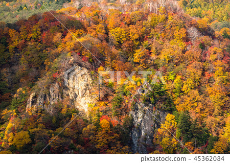 << Tochigi Prefecture >> The autumn leaves of Oku-Nikko and Ake-chihei << Tochigi Prefecture >> The autumn leaves of Oku-Nikko and Ake-chihei 45362084