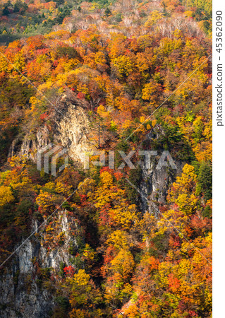 << Tochigi Prefecture >> The autumn leaves of Oku-Nikko and Ake-chihei << Tochigi Prefecture >> The autumn leaves of Oku-Nikko and Ake-chihei 45362090