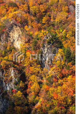 << Tochigi Prefecture >> The autumn leaves of Oku-Nikko and Ake-chihei << Tochigi Prefecture >> The autumn leaves of Oku-Nikko and Ake-chihei 45362093