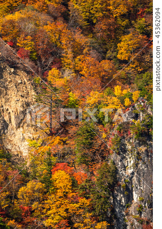 << Tochigi Prefecture >> The autumn leaves of Oku-Nikko and Ake-chihei 45362094