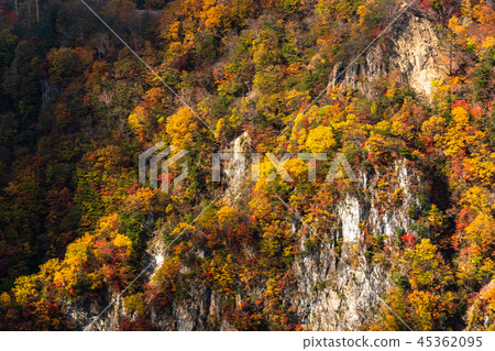 “栃木縣”Oku-Nikko和Ake-chihei的秋葉 45362095