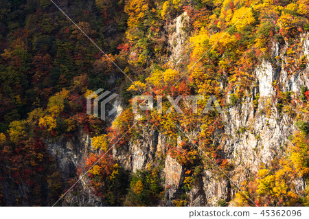 << Tochigi Prefecture >> The autumn leaves of Oku-Nikko and Ake-chihei << Tochigi Prefecture >> The autumn leaves of Oku-Nikko and Ake-chihei 45362096