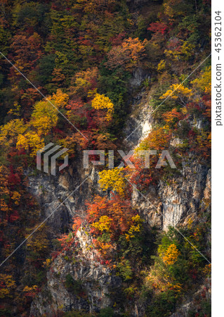 << Tochigi Prefecture >> The autumn leaves of Oku-Nikko and Ake-chihei << Tochigi Prefecture >> The autumn leaves of Oku-Nikko and Ake-chihei 45362104
