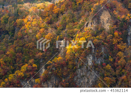 << Tochigi Prefecture >> The autumn leaves of Oku-Nikko and Ake-chihei 45362114