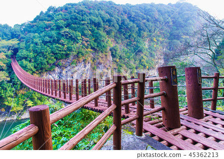 Tategami Gorge Autumn Leaves at Hinokuni Bridge [Hikawa Town, Yatsushiro District, Kumamoto Prefecture] 45362213