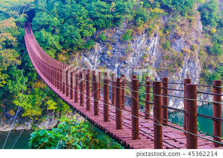 立上峽 檜國橋紅葉 [熊本縣八代郡冰川町] 45362214