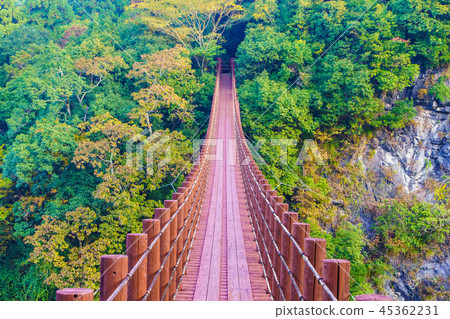 立上峽 檜國橋紅葉 [熊本縣八代郡冰川町] 45362231