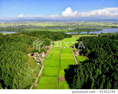 Rural scenery seen from the sky and the Shinano river 45362249