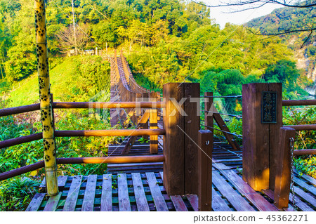 Tategami Gorge Autumn leaves at Ryujin Bridge [Hikawa-cho, Yatsushiro-gun, Kumamoto Prefecture] 45362271
