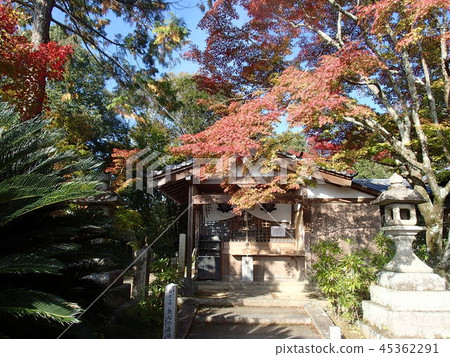 Satoyama Satoyama 45362291