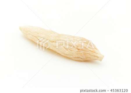 Bakumon winter: Dwarf lilyturf tuber 45363120