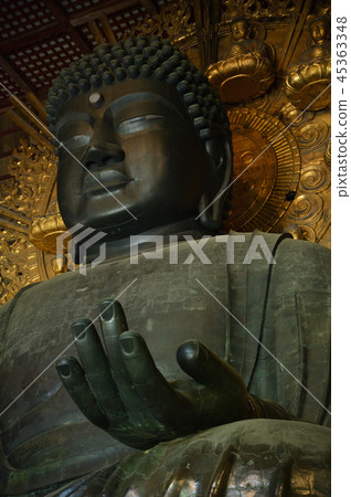 東大寺大佛 45363348