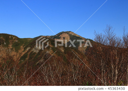 通往東北Itoyo山頂的道路從Tanegayama-Sho線可以看到Itoyo山的頂部 通往東北Itoyo山頂的道路從Tanegayama-Sho線可以看到Itoyo山的頂部 45363430