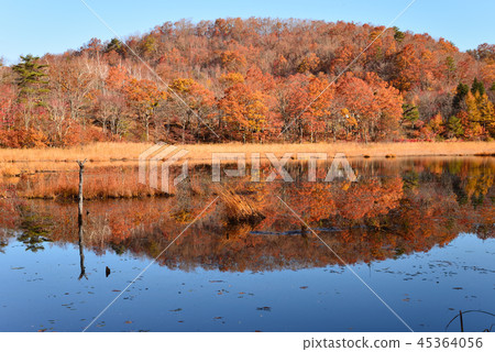 我去了Kannonnuma Forest Park#10 我去了Kannonnuma Forest Park#10 45364056