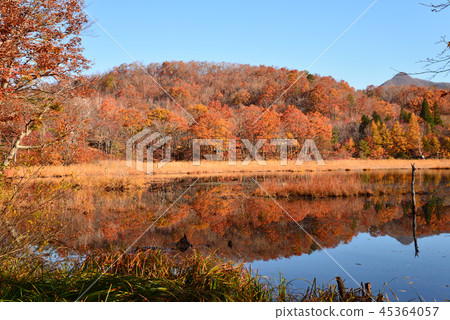 我去了Kannonnuma Forest Park#9 我去了Kannonnuma Forest Park#9 45364057