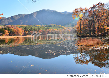 我去了Kannonnuma Forest Park#4 我去了Kannonnuma Forest Park#4 45364062