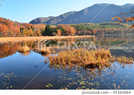 我去了Kannonnuma Forest Park#2 我去了Kannonnuma Forest Park#2 45364064