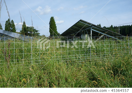 Solar power plant surrounded by weeds 45364557