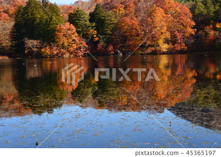 I went to Kannonnuma Forest Park # 28 45365197