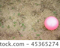 ball  45365274