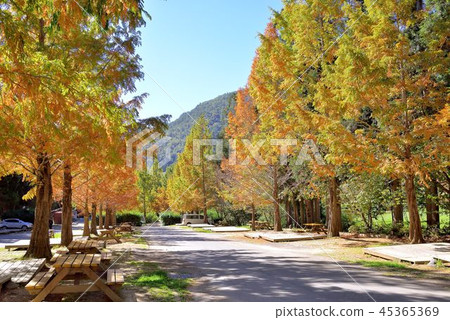 Wuling Farm Wuling Farm 45365369