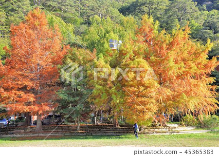 Wuling Farm 45365383