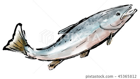 刷塗鮭魚 刷塗鮭魚 45365812