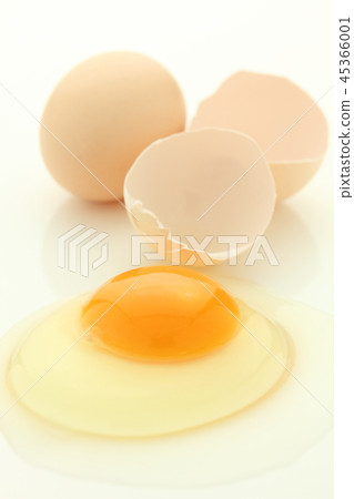 An egg An egg 45366001