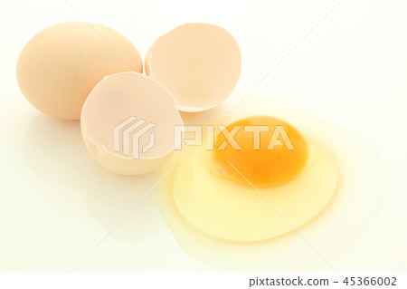 An egg An egg 45366002