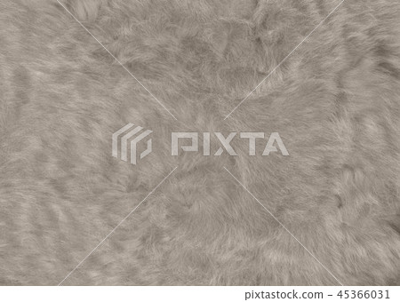 Brushed gray of long haired legs Brushed gray of long haired legs 45366031