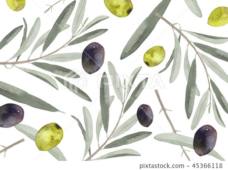 橄欖葉和漿果背景紡織水彩插圖 45366118