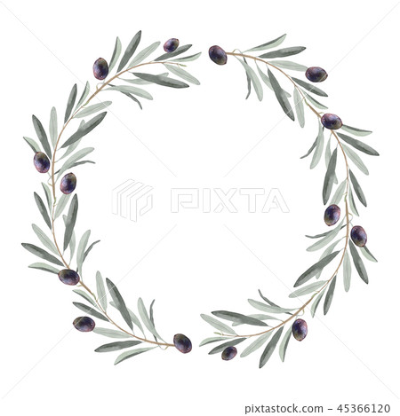 Olive leaf and berries frame watercolor illustration 45366120