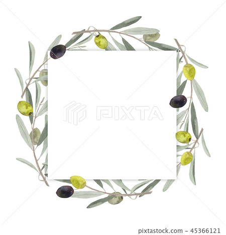 Olive leaf and berries frame watercolor... - Stock Illustration ...