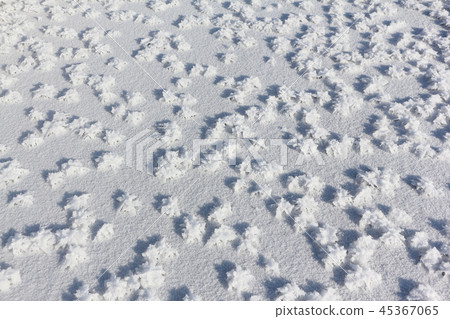 Snow frost on the ice on the river Snow frost on the ice on the river 45367065