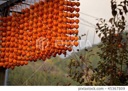 Kushigaki no Sato 45367809