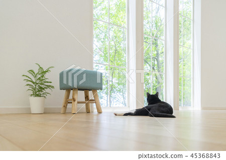 A back view of a cat lying on the floor and looking out of the window 45368843