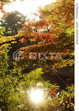Autumn leaves image (Nagasaki: Lake Nodake) Autumn leaves image (Nagasaki: Lake Nodake) 45369623