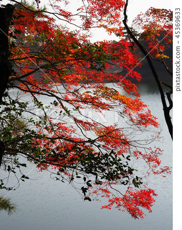 Autumn leaves image (Nagasaki: Lake Nodake) Autumn leaves image (Nagasaki: Lake Nodake) 45369633