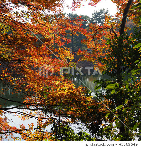 Autumn leaves image (Nagasaki: Lake Nodake) 45369649