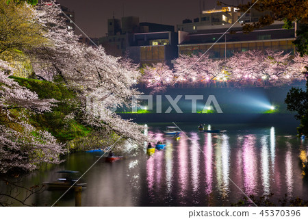 Chidorigafuchi Night cherry blossoms light up (Chiyoda-ku, Tokyo) March 2018 45370396