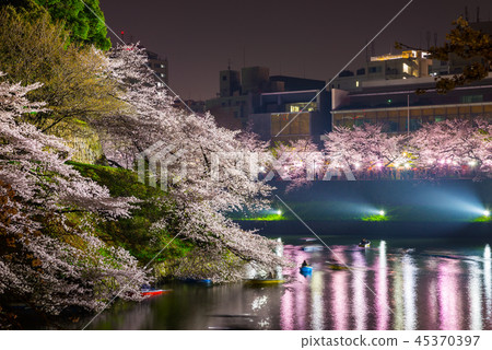 Chidorigafuchi Night cherry blossoms light up (Chiyoda-ku, Tokyo) March 2018 45370397