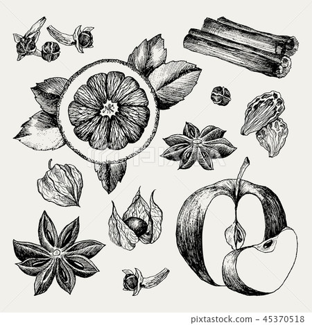 Mulled Wine and spices, orange, apple, cinnamon, carnation, anise, berry, clove, physalis. Hand Mulled Wine and spices, orange, apple, cinnamon, carnation, anise, berry, clove, physalis. Hand 45370518