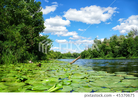 Scenic view of the Dnieper River in sunny day Scenic view of the Dnieper River in sunny day 45370675