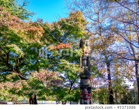 [Shizuoka Prefecture Izu City] Park Totem Pole [Shuzenji Niji no Sato] 45371086