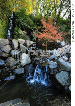 Autumn leaves of Kannon waterfall park Autumn leaves of Kannon waterfall park 45371134