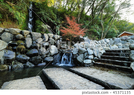 Autumn leaves of Kannon waterfall park Autumn leaves of Kannon waterfall park 45371135