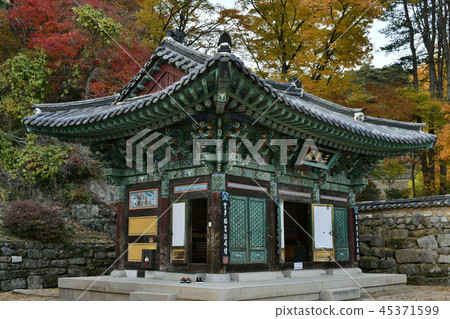 Lawyer, Mt. Esu, Boeun, Chungbuk 45371599